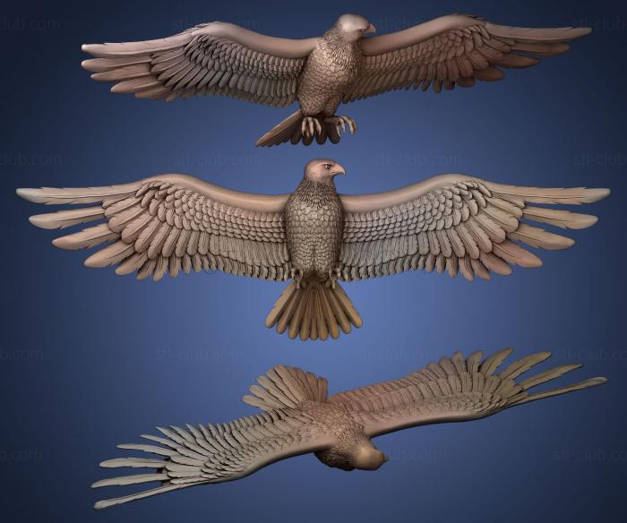 3D model eagle looking away (STL)